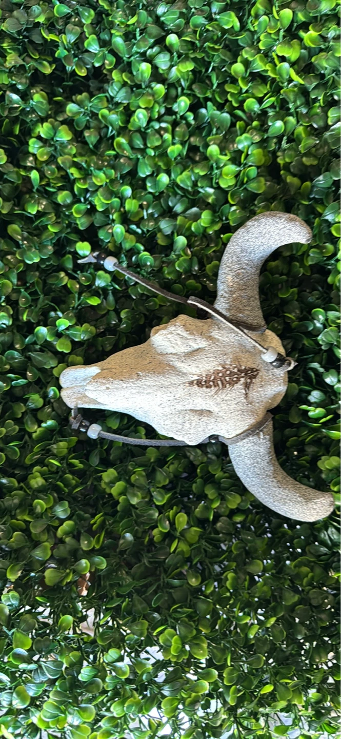 Cow Skull Wall Decor - photo 4