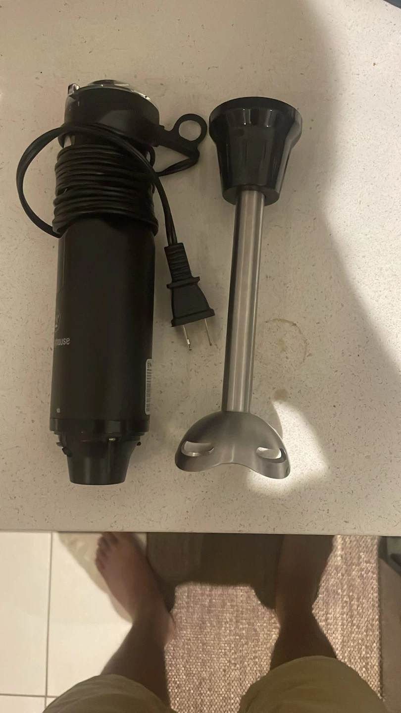 Immersion Blender