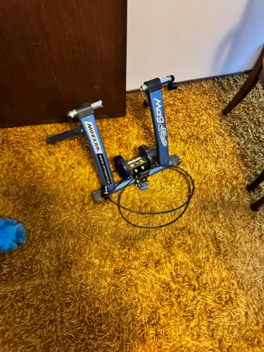 Minoura Mag Trainer Bicycle - photo 2