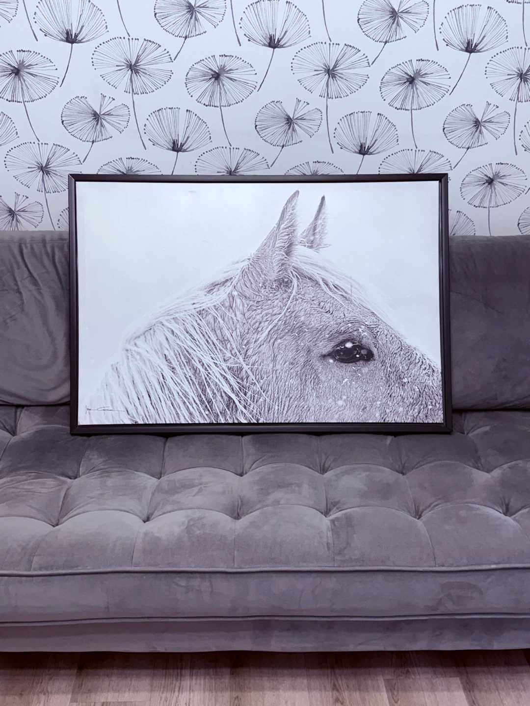 Framed Horse Portrait Art Print
