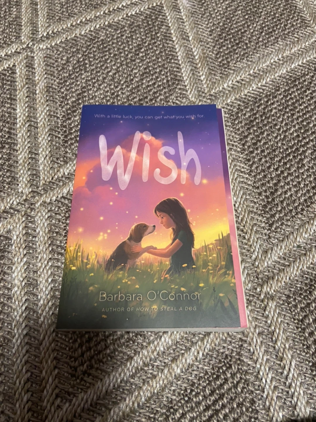 Wish by Barbara O'Connor Book