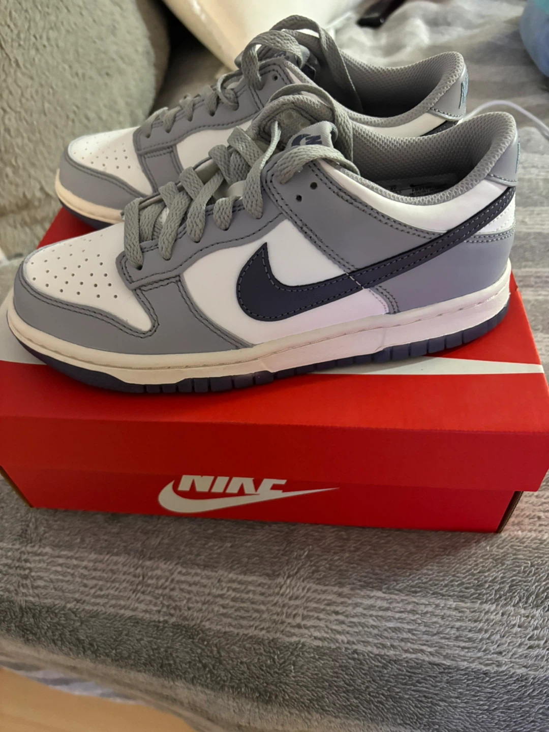 Nike Dunk Low (GS) Summit White/Light Carbon Sneakers