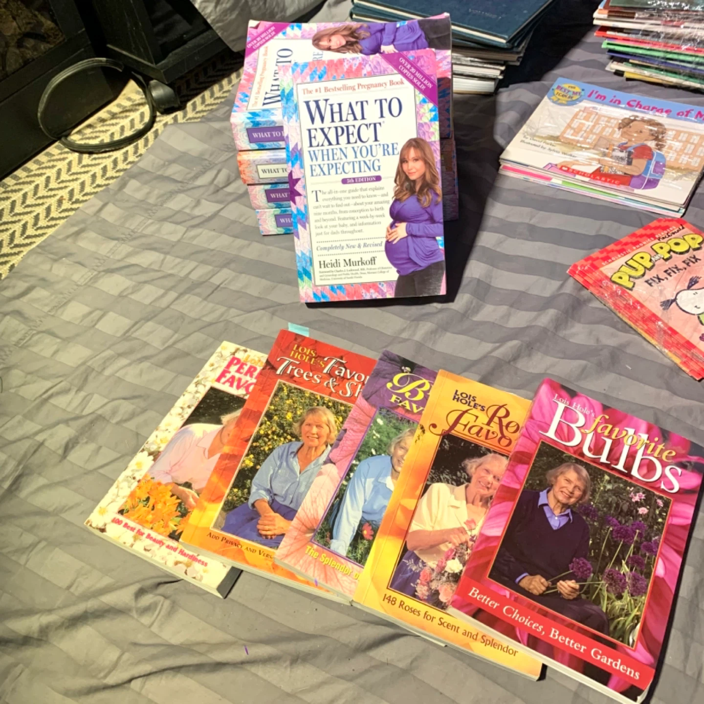 Lots of Books Sale Fiction Non Fiction Kids Self Help (And More) - photo 5