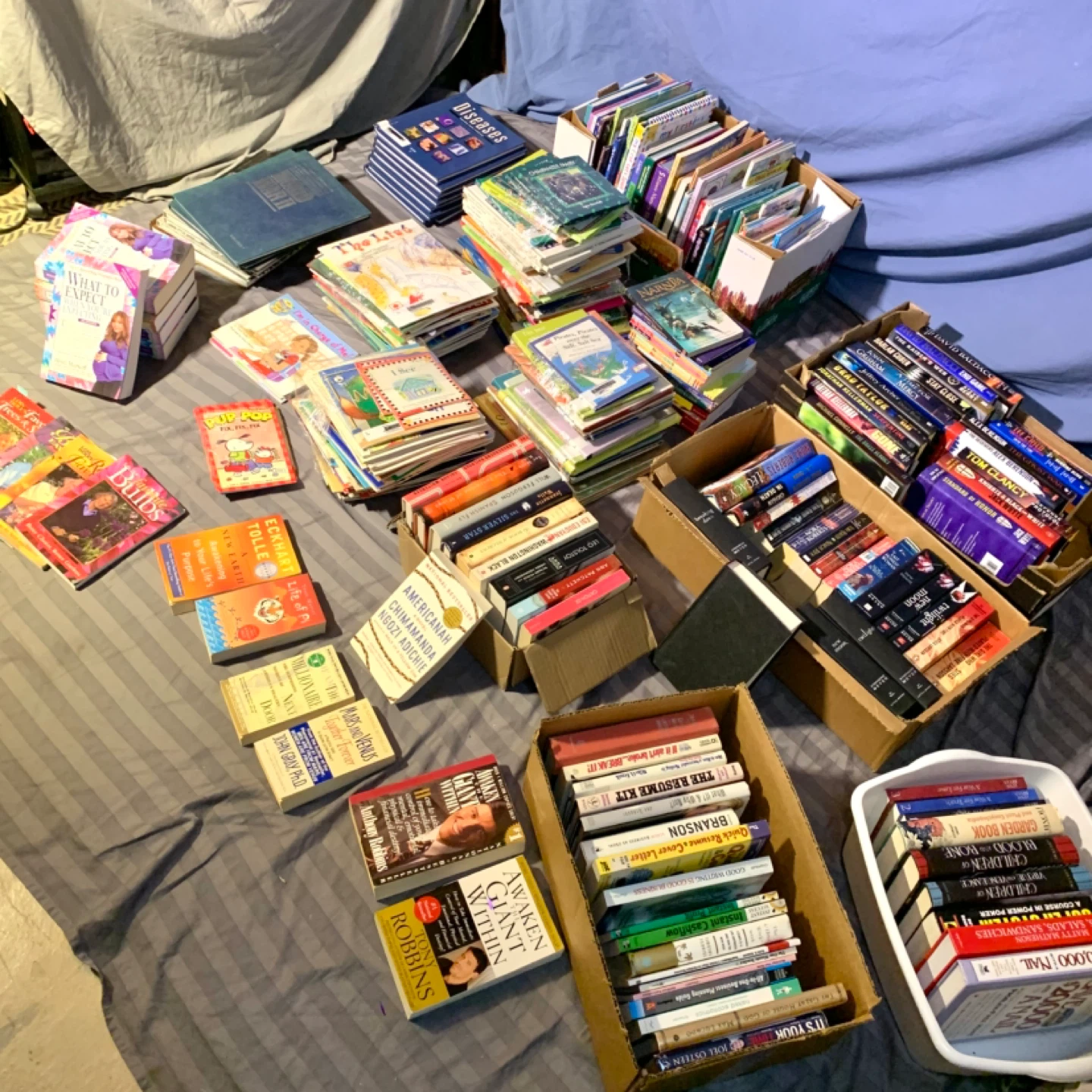 Lots of Books Sale Fiction Non Fiction Kids Self Help (And More)