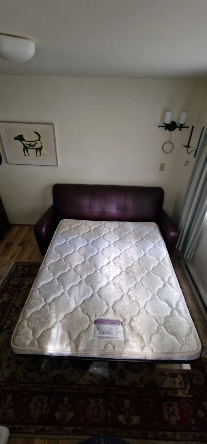 Maroon Leather Sofa Bed (pick up at Crescent Beach area)