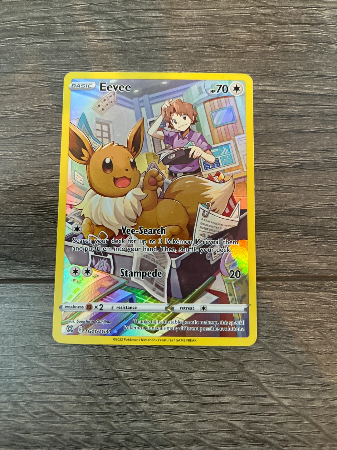 2022 Pokemon Eevee art card TG11/TG30
