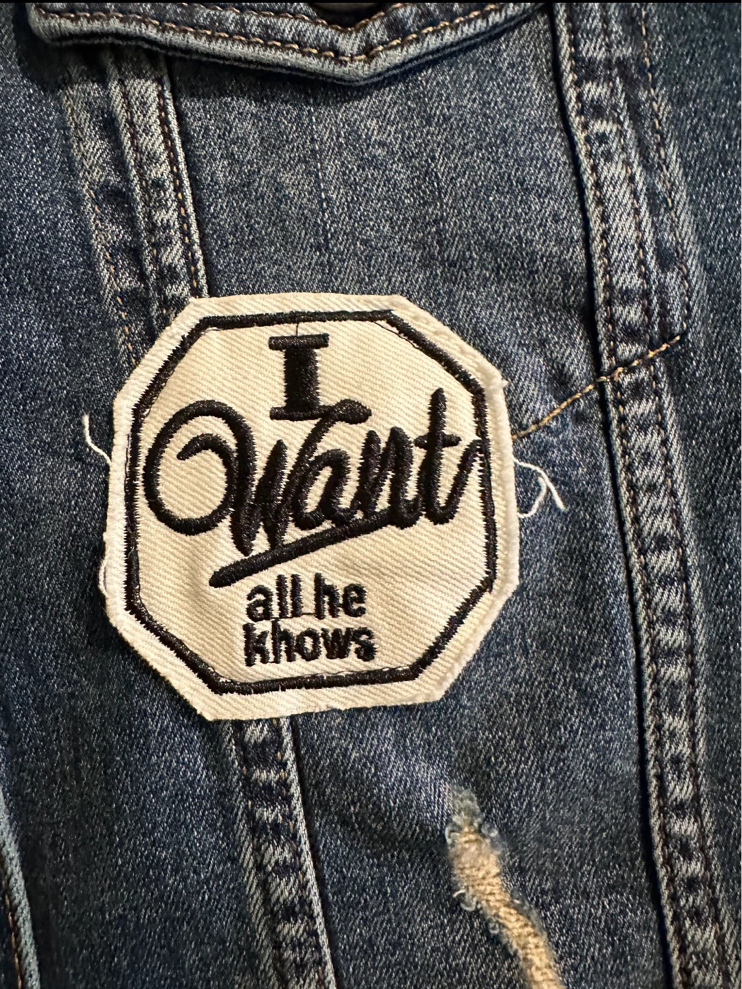 Leif Nelson Distressed Denim Jacket with Skull Graphics NWT - photo 3