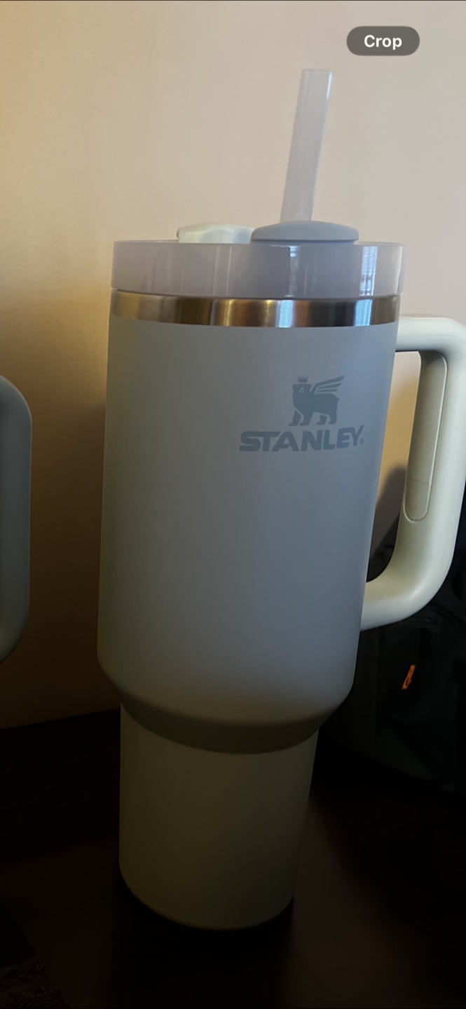 Stanley Tumbler Cup with Straw