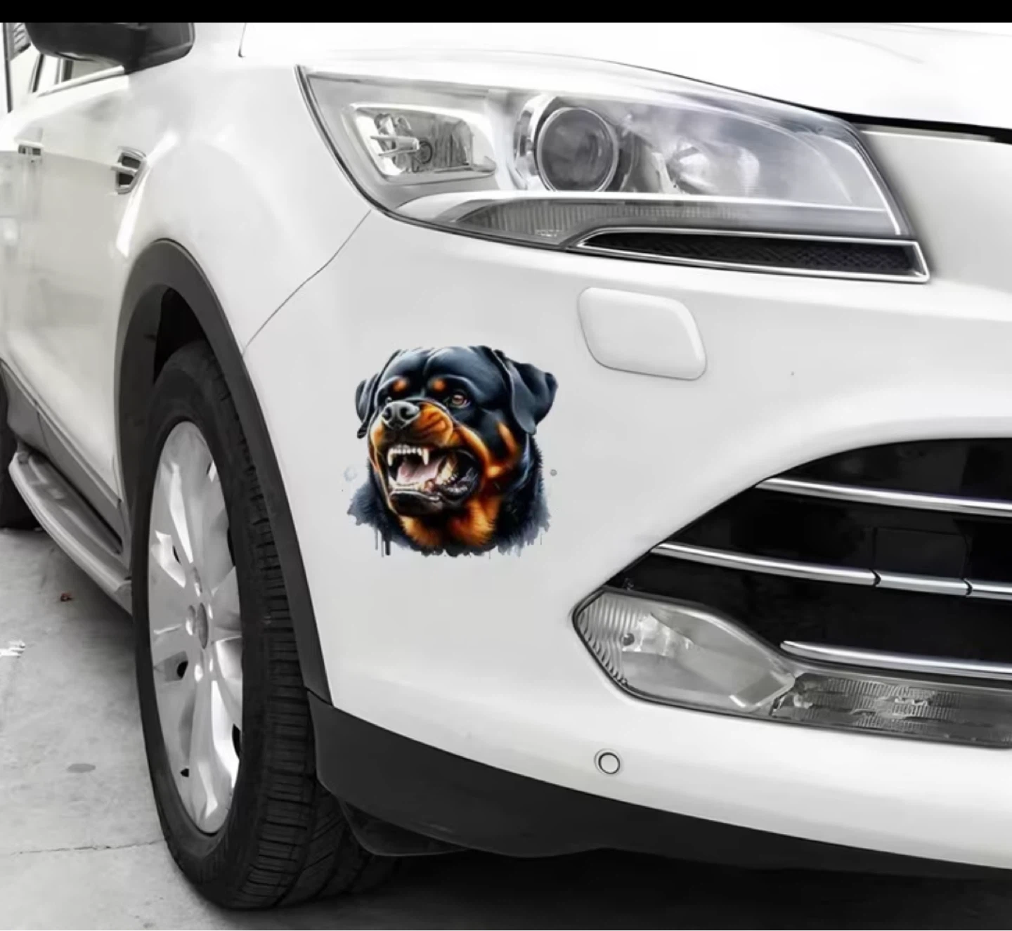 Rottweiler Dog Sticker - photo 2