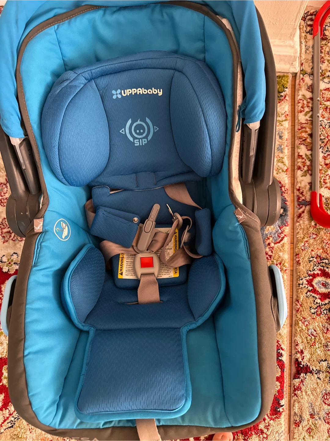 UPPAbaby infant car seat