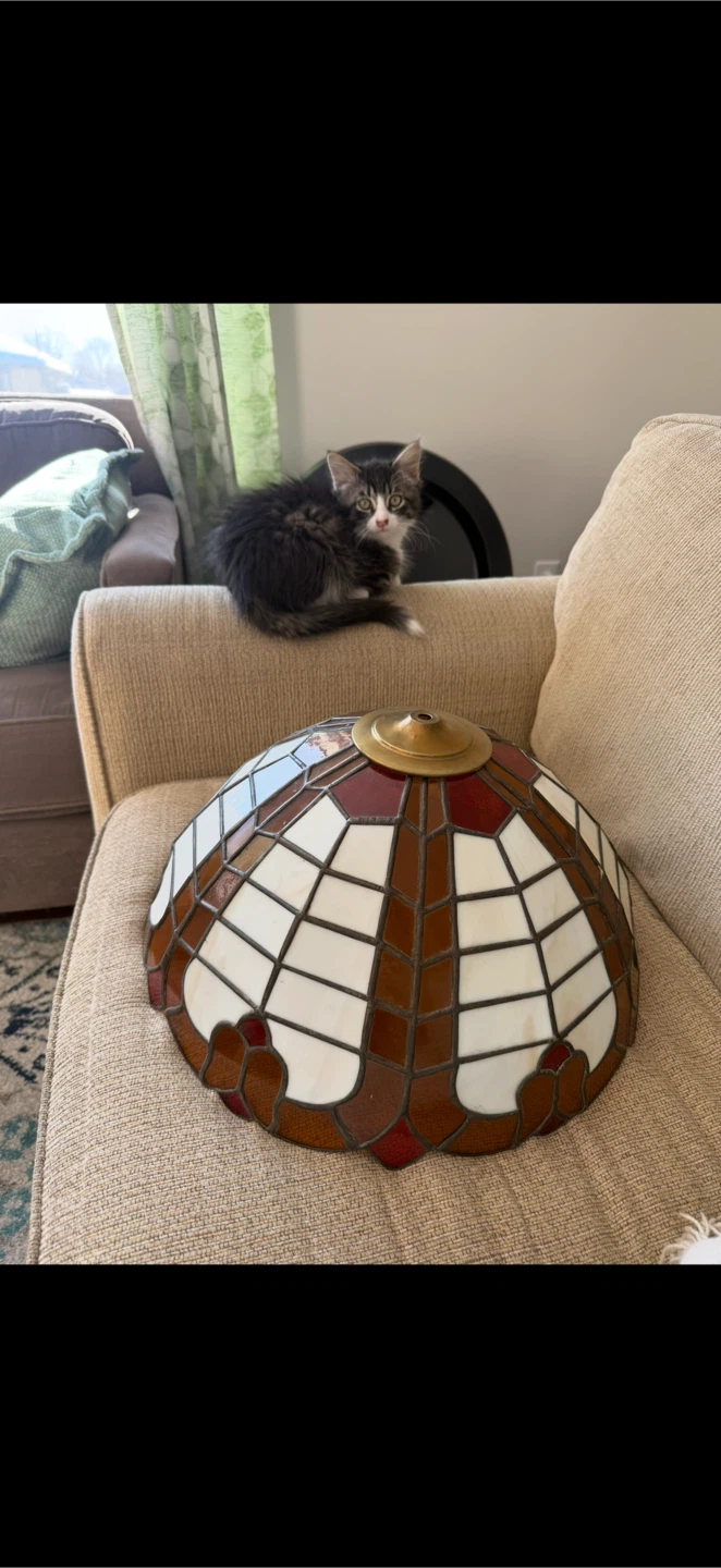 Stained Glass Tiffany Style Lamp Shade - photo 2