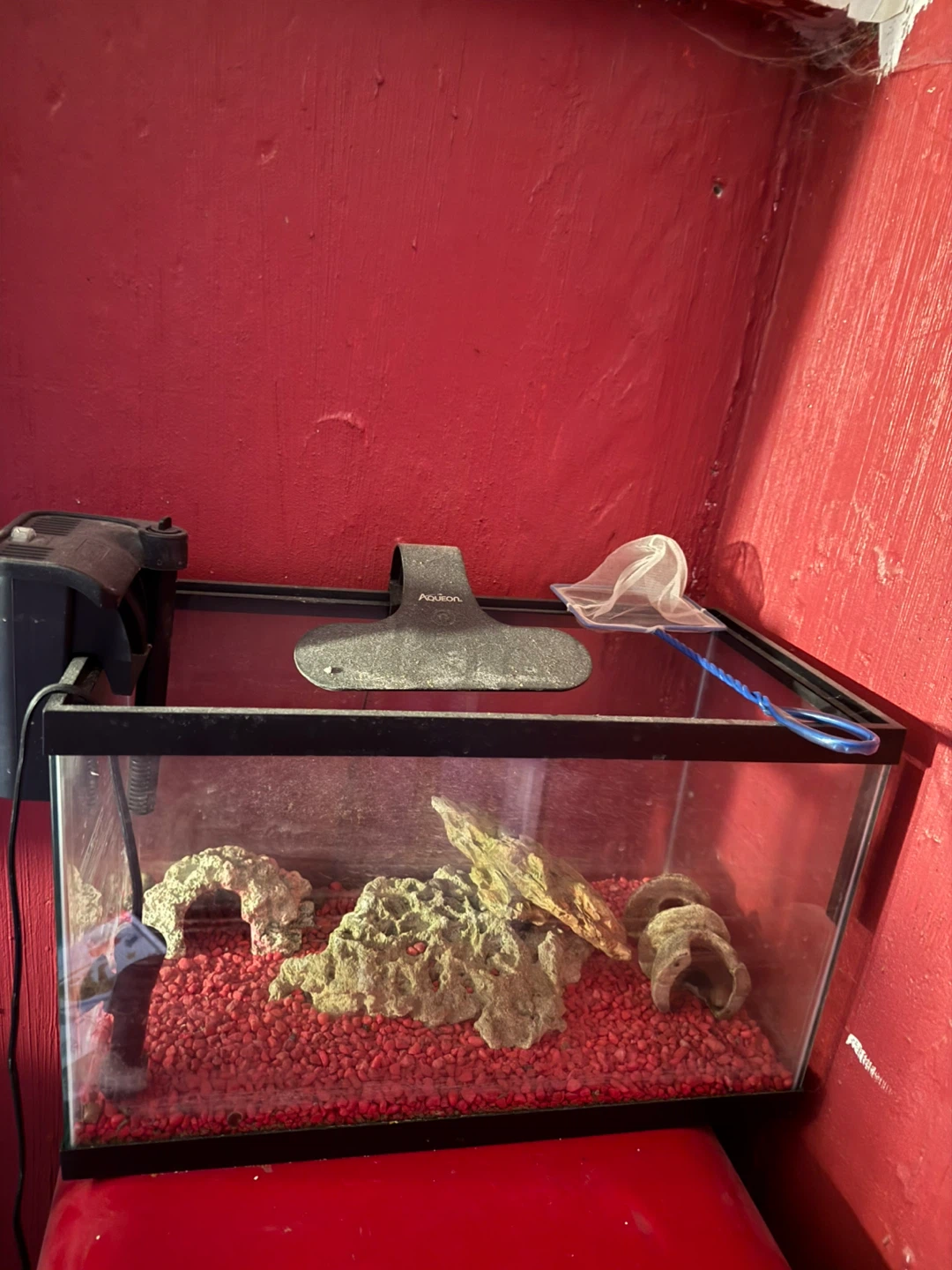 20 Gallon Fish Tank