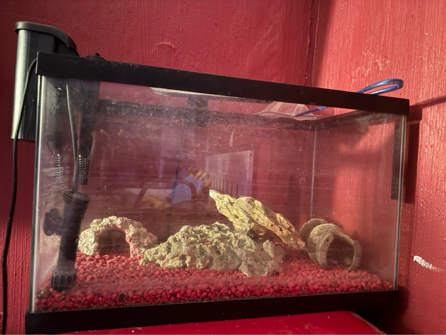 20 Gallon Fish Tank - photo 2