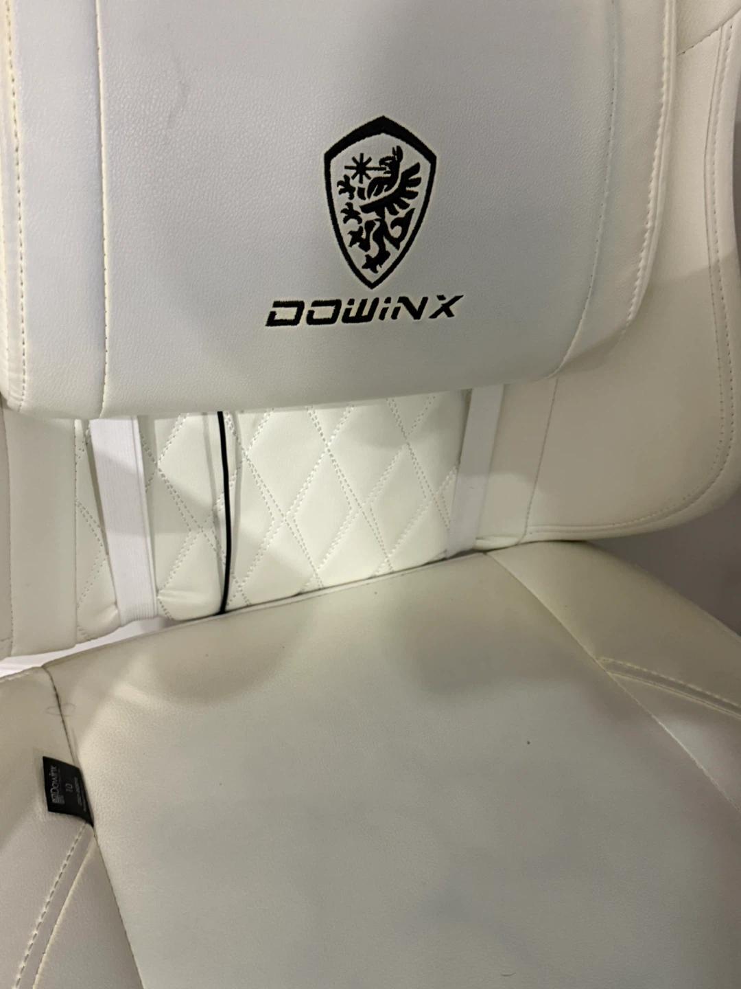 Dowinx White Gaming Chair with Lumbar Pillow - photo 3