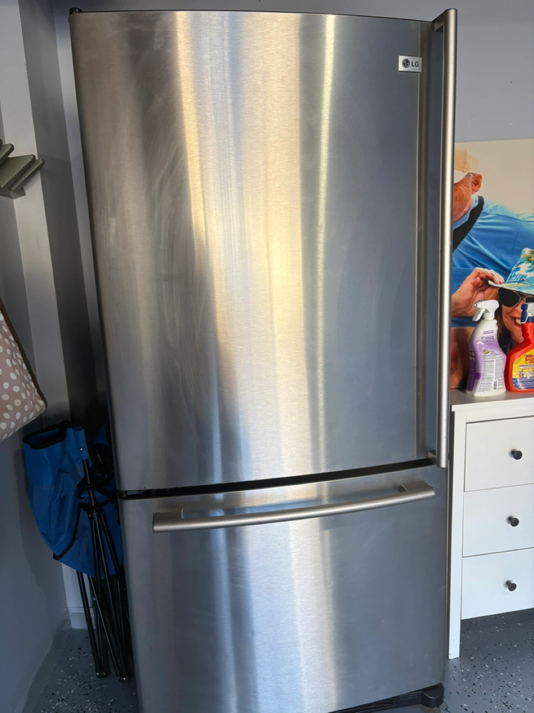 LG Stainless Steel Refrigerator with Freezer Drawer