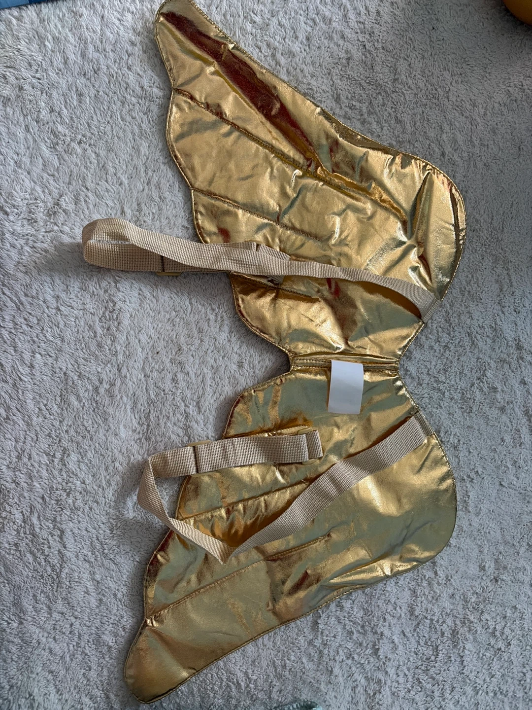 Gold Angel Wings Costume Accessory