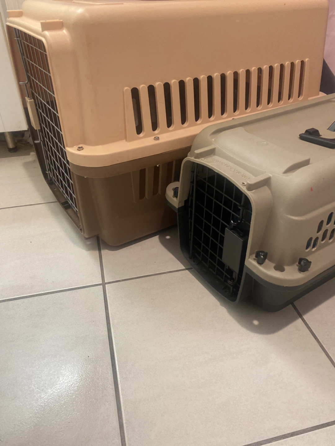 Medium Pet Carriers - photo 2