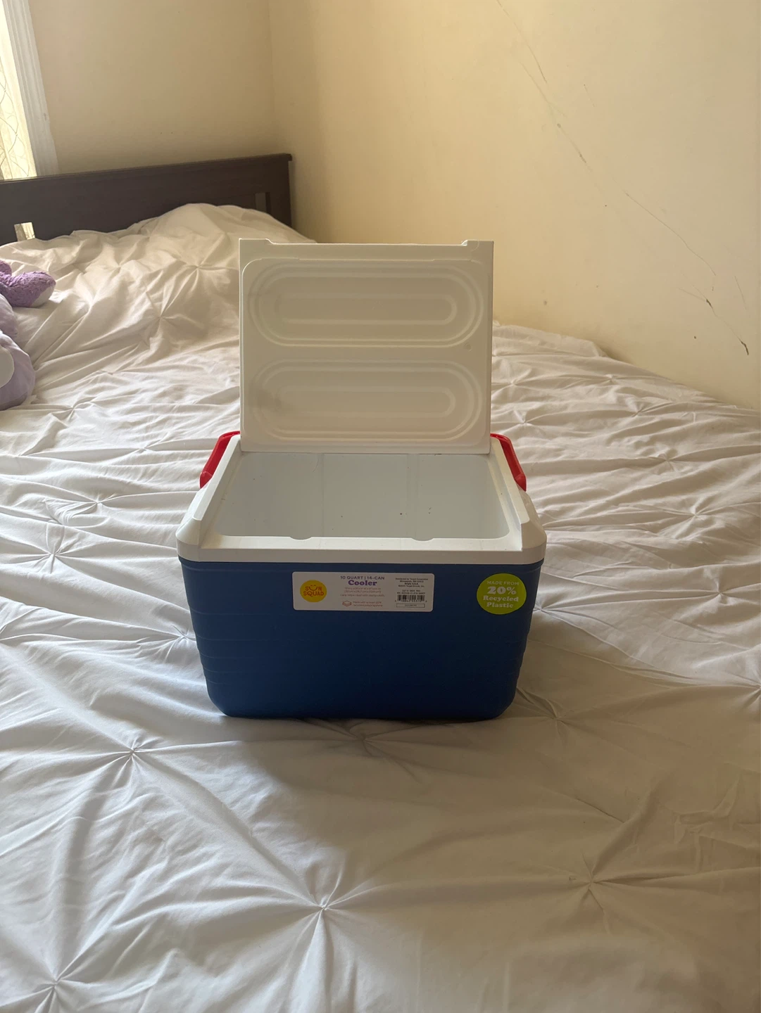 Igloo 25 Quart Cooler