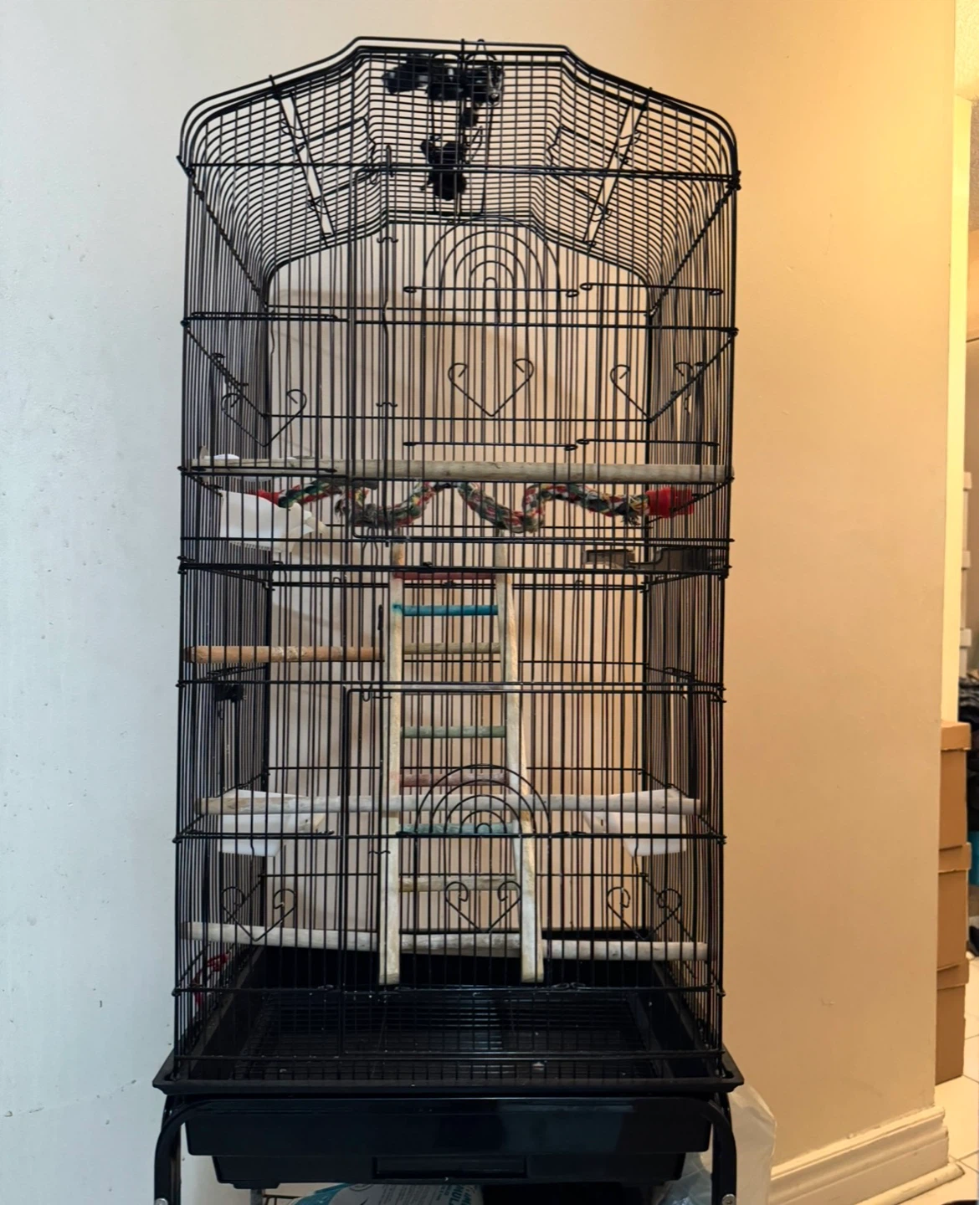 Large Black Bird Cage with Perches and Ladder