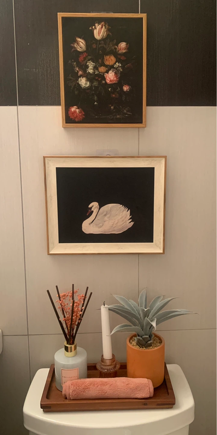 Swan canvas in wooden frame