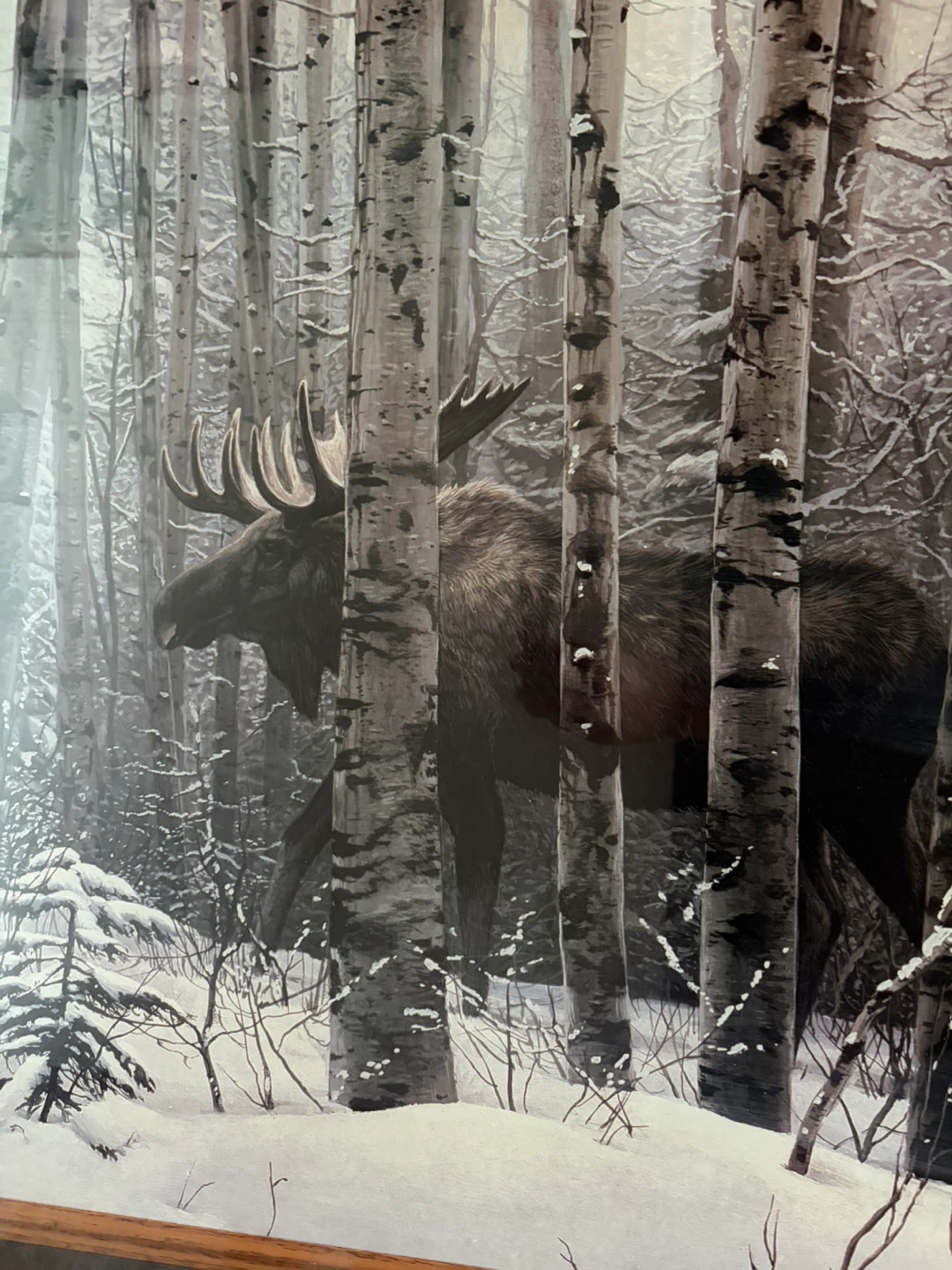 Stephen Lyman "A Walk in the Woods" Framed Art Print - photo 3