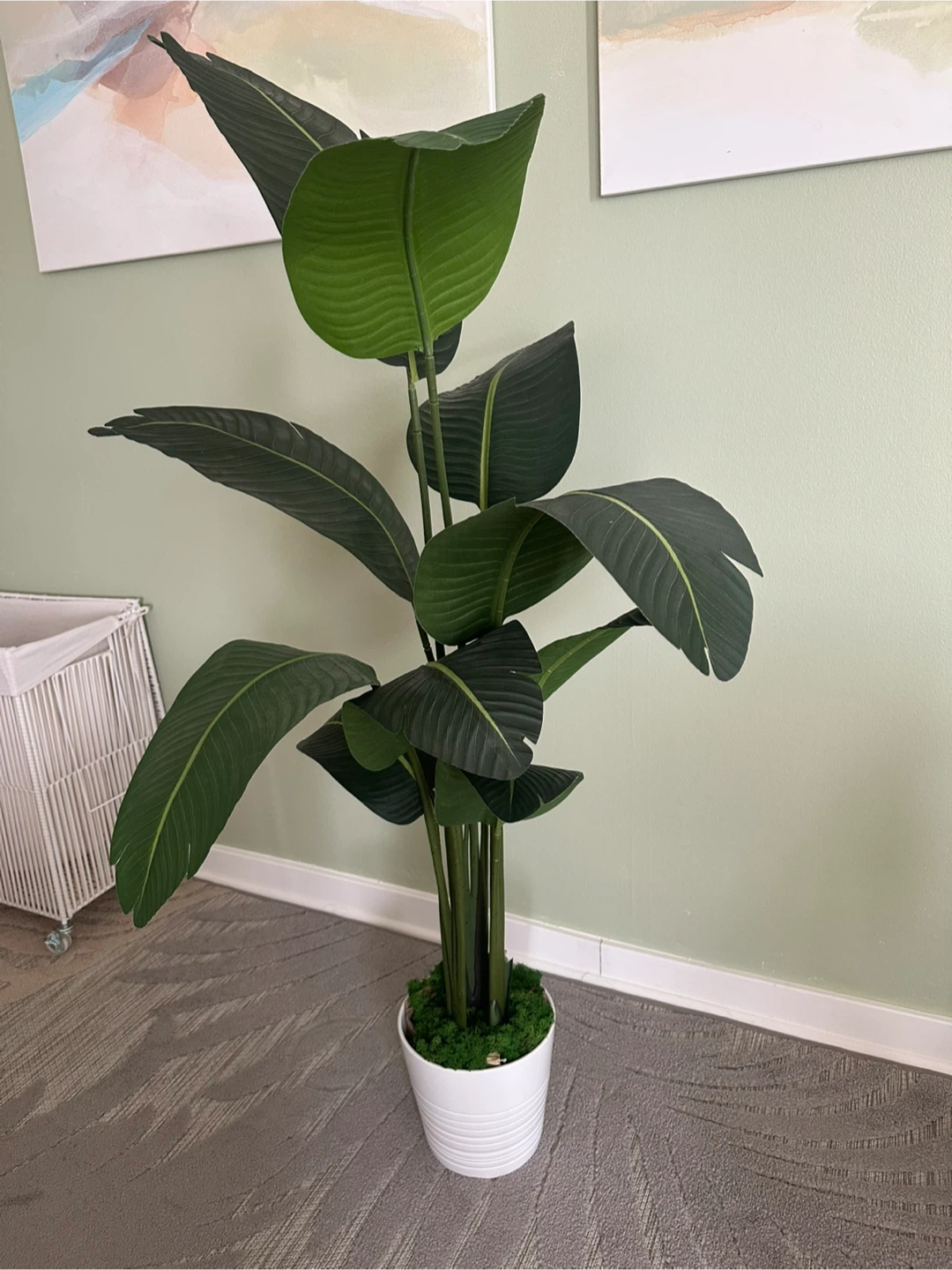 Large Faux Bird of Paradise Plant in White Pot