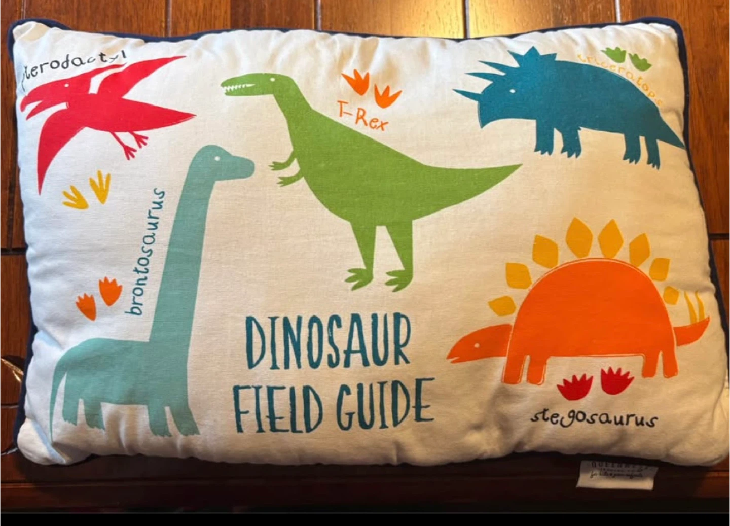 Queenwest Trading Co Dinosaur Field Guide Pillow