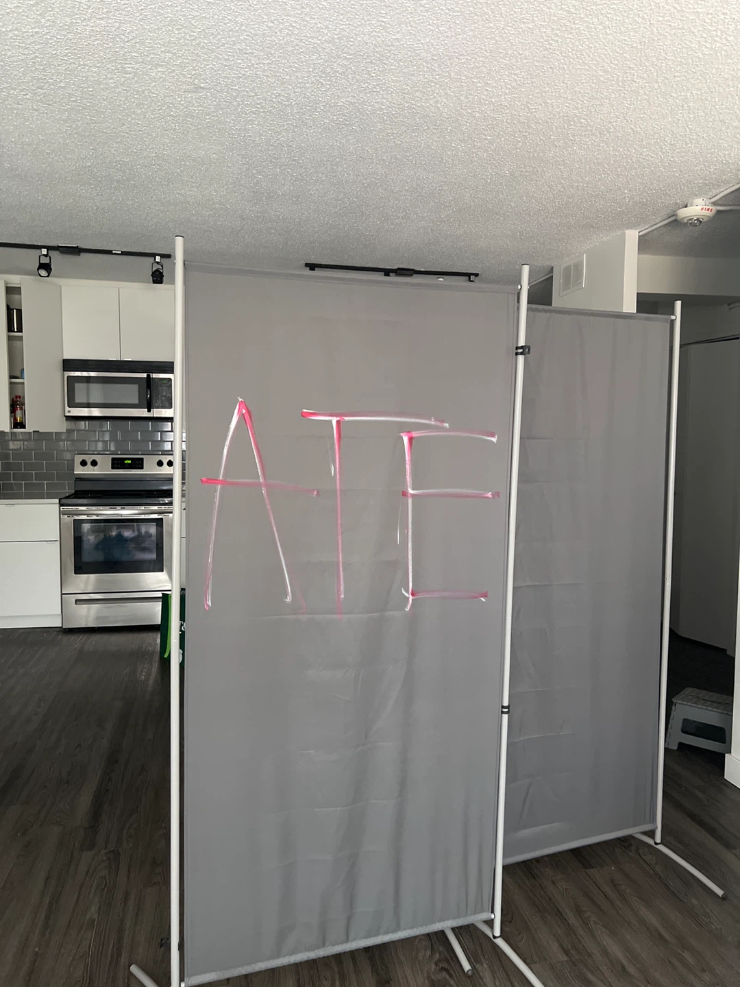 Grey Room Divider Screen