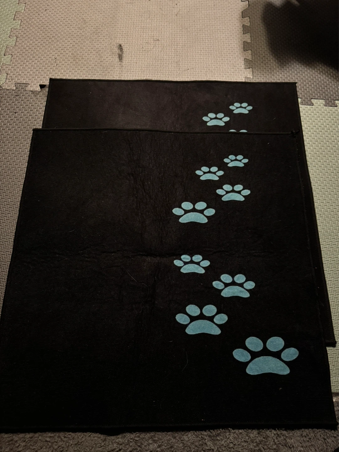 Black Pet Training Pads with Blue Paw Prints - photo 2