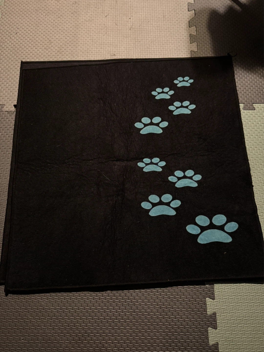 Black Pet Training Pads with Blue Paw Prints