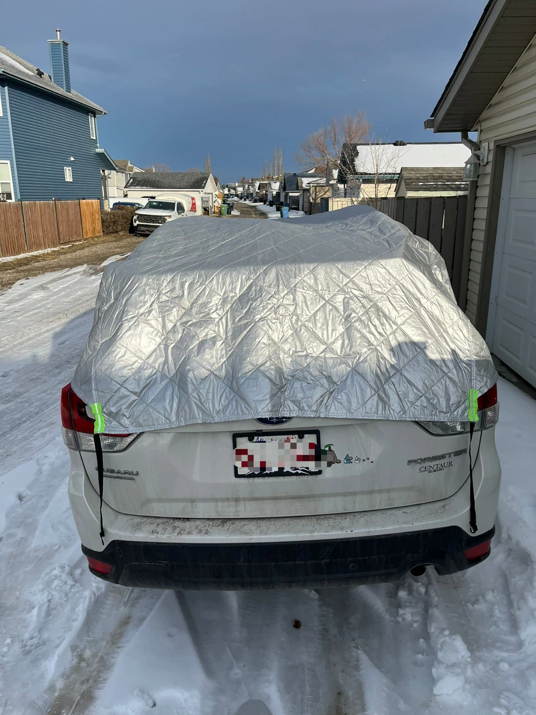 Hail cover for SUV - photo 4