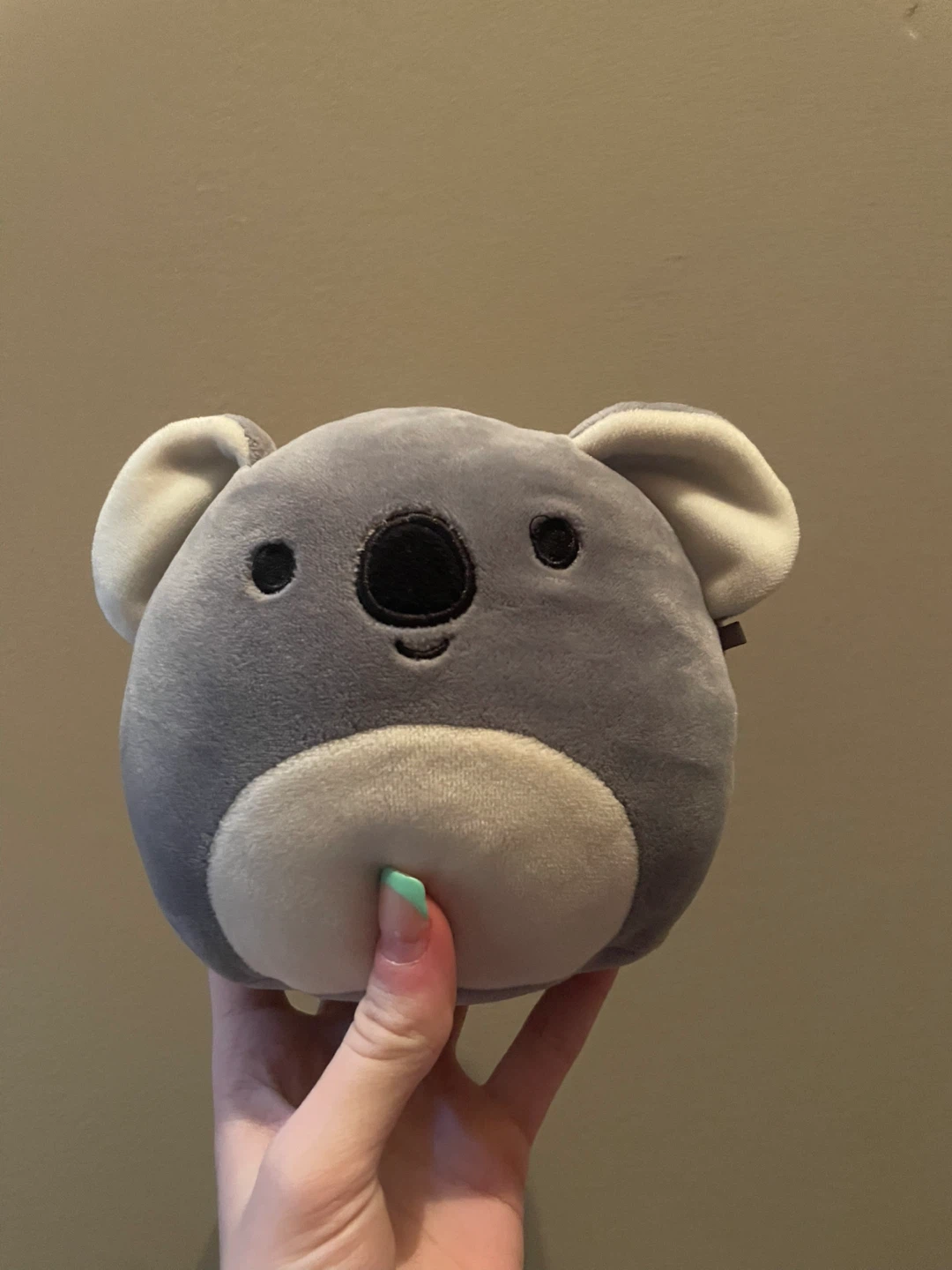 Kirk the Koala 5.5” Squishmallow