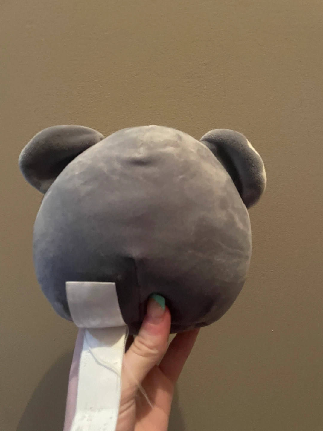 Kirk the Koala 5.5” Squishmallow - photo 3