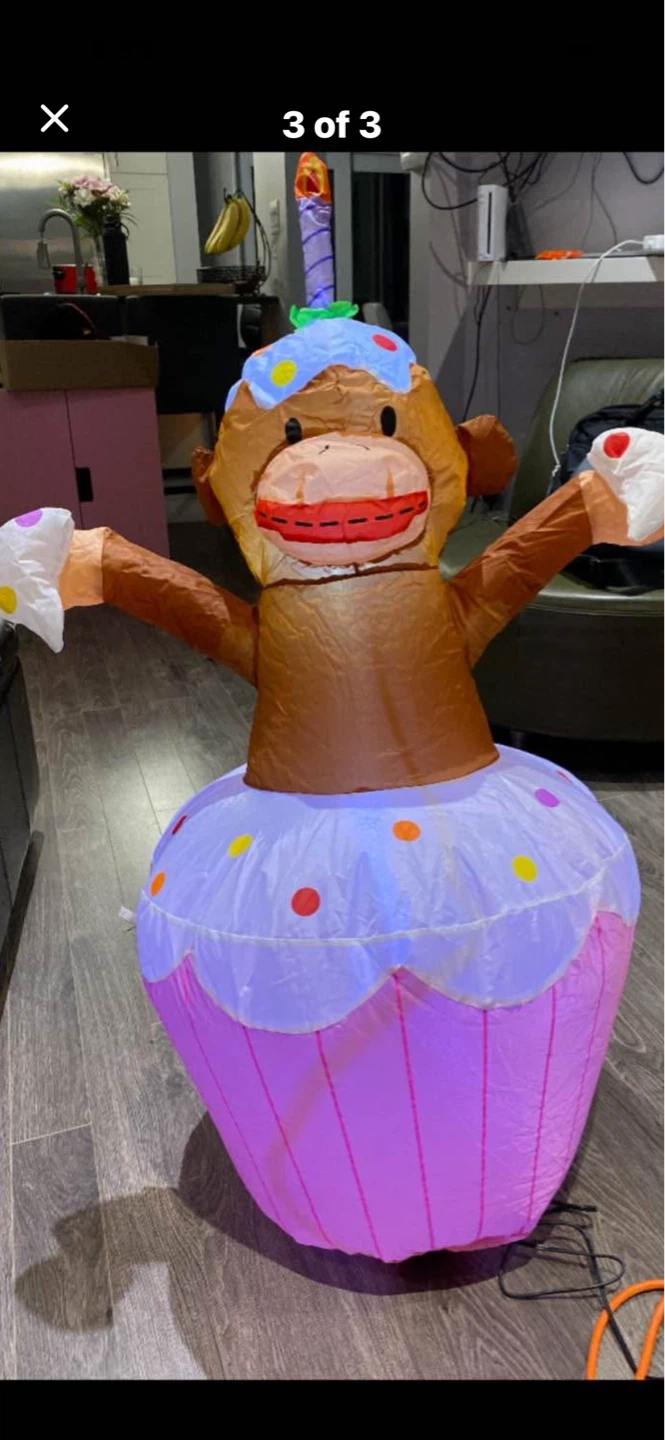 NEW Birthday Inflatable - photo 2