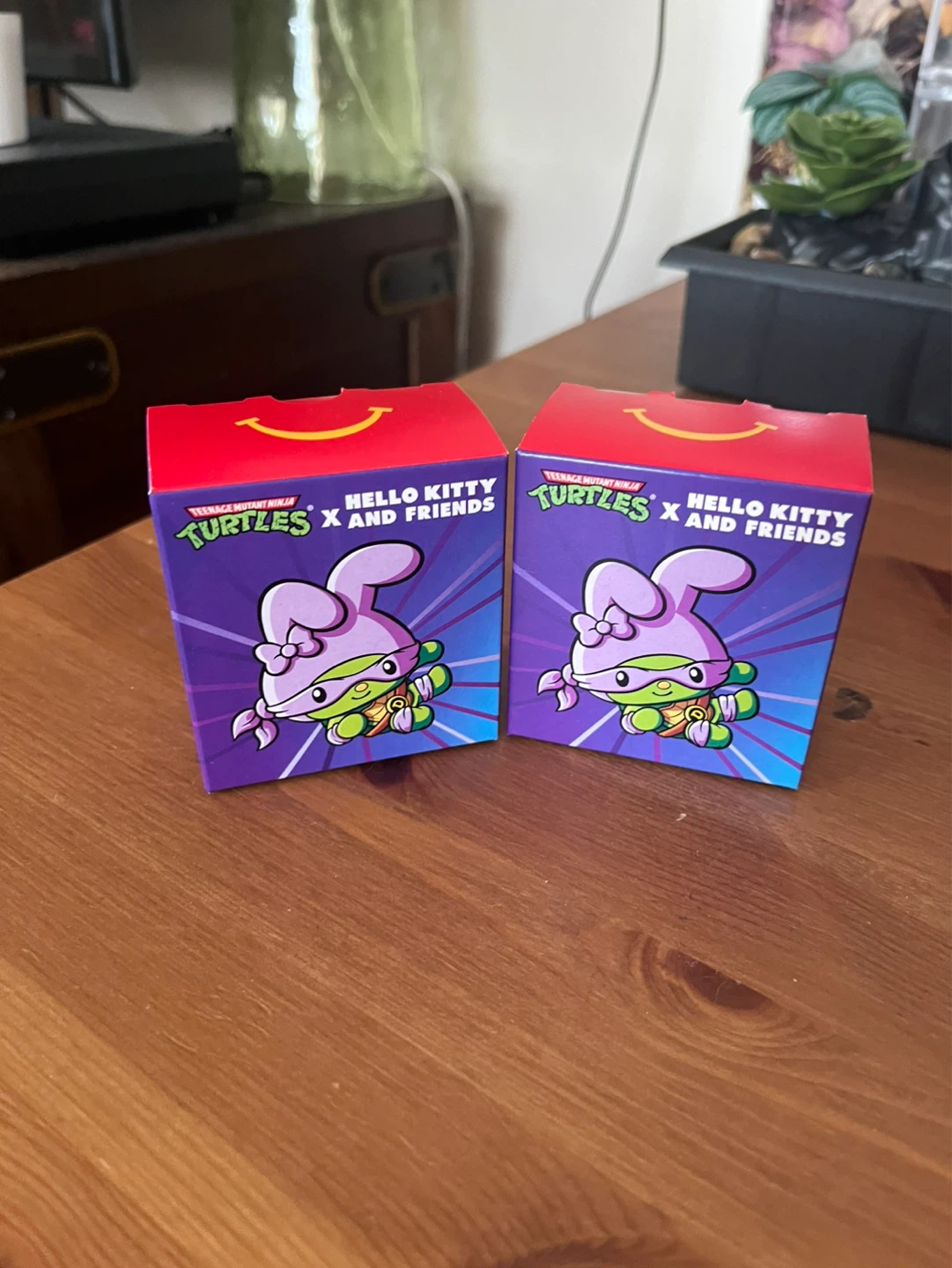 Hello Kitty X Turtles Blind Box
