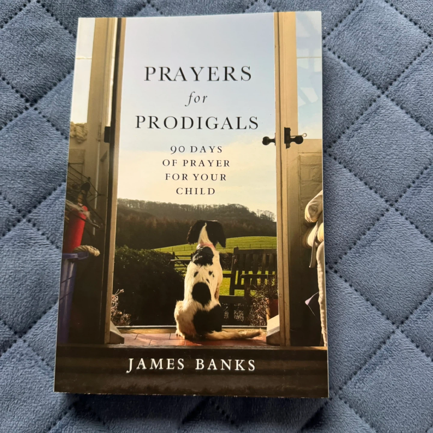 Prayers for Prodigals by James Banks Book LIKE NEW