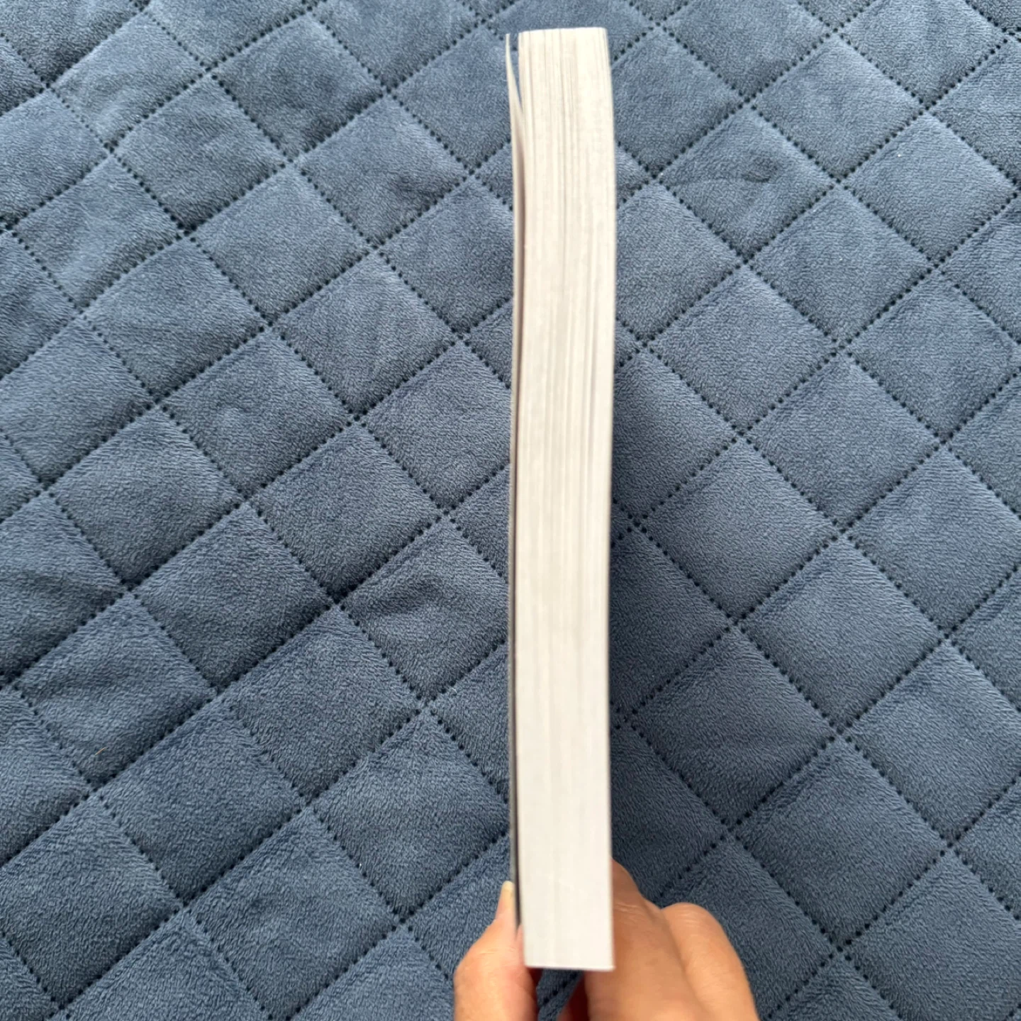 Prayers for Prodigals by James Banks Book LIKE NEW - photo 4