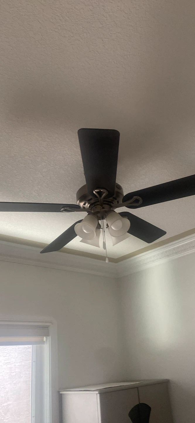 Hunter Ceiling Fan with Lights