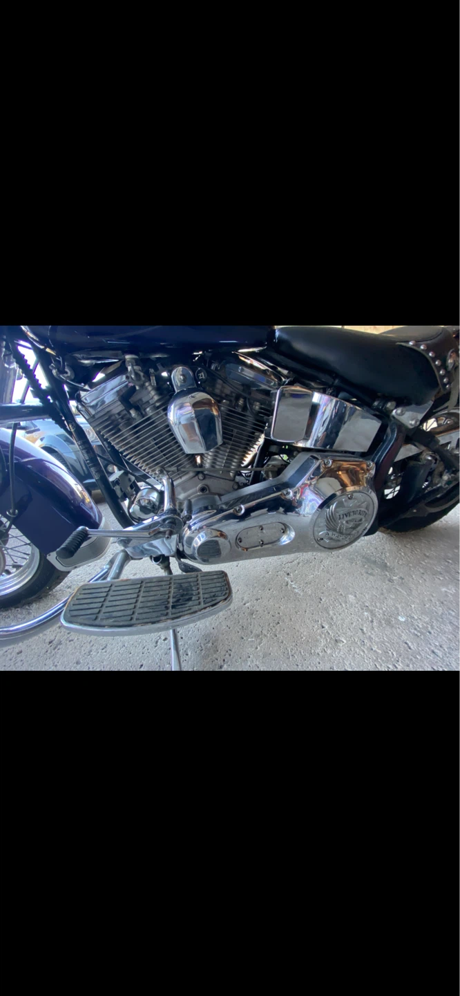 1991 Harley Davidson Softail - photo 4