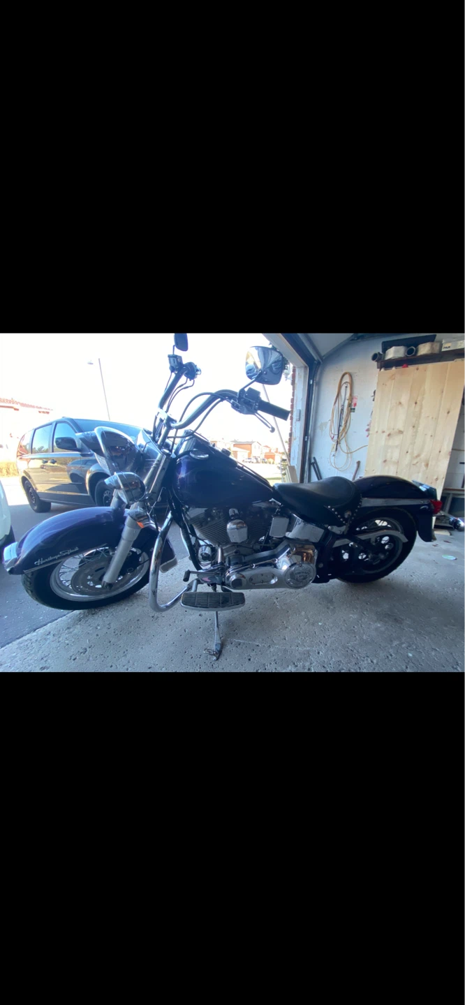 1991 Harley Davidson Softail - photo 2