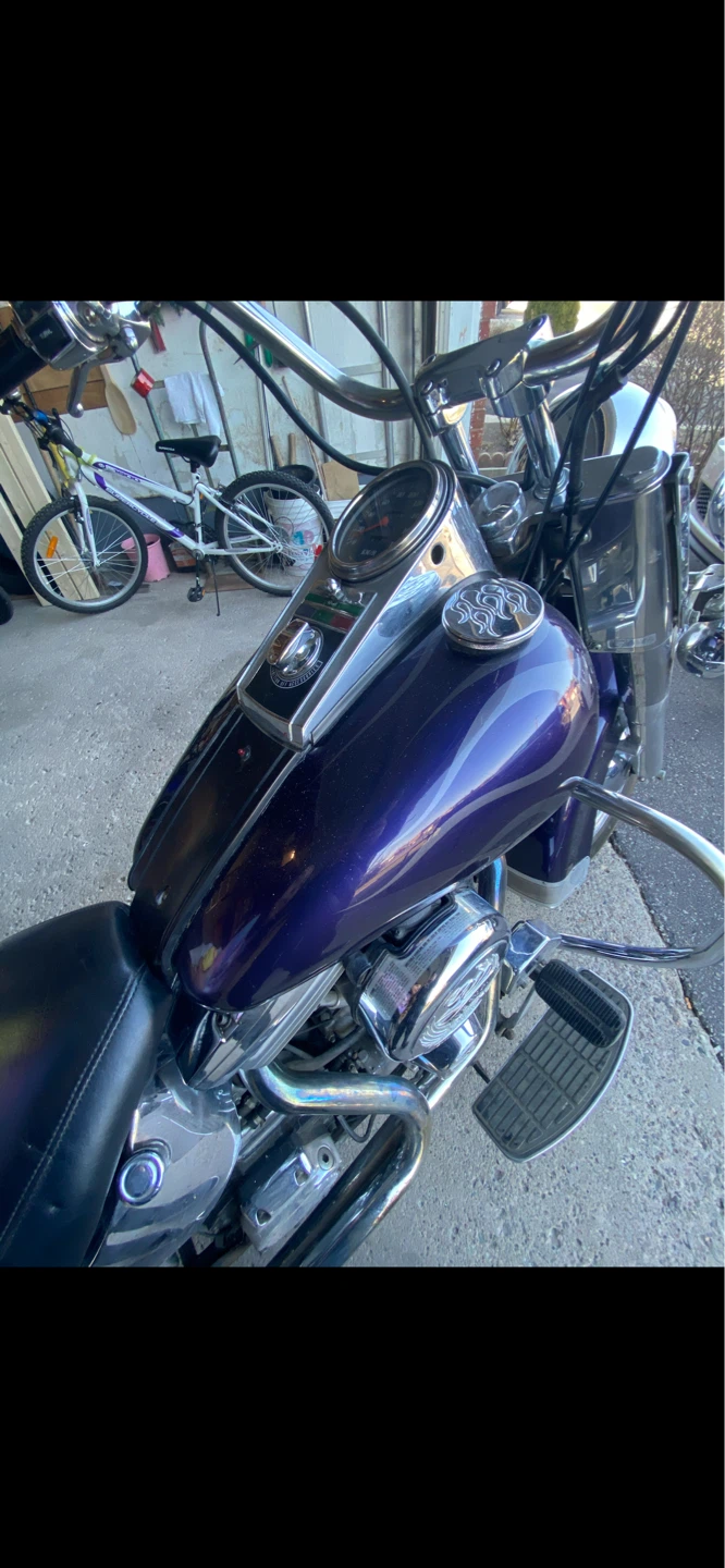 1991 Harley Davidson Softail - photo 5