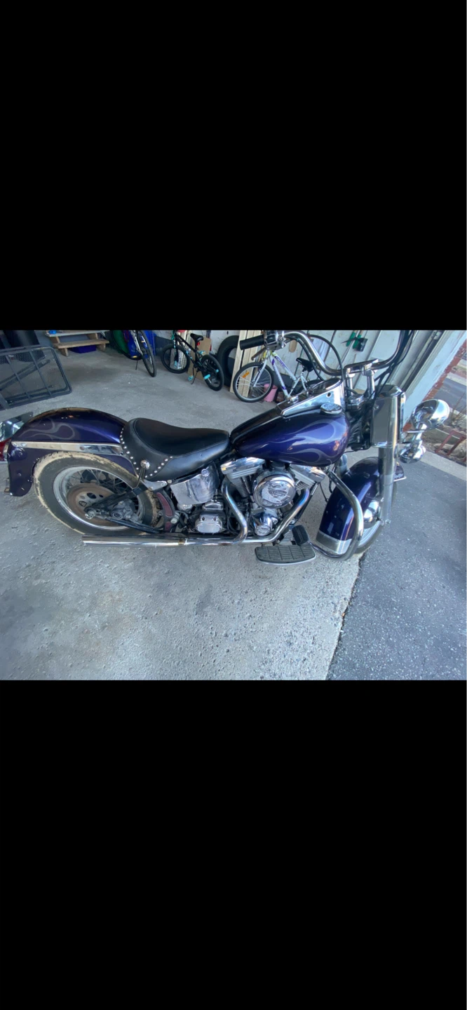 1991 Harley Davidson Softail - photo 3