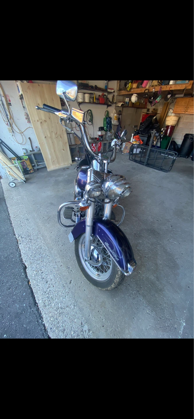1991 Harley Davidson Softail