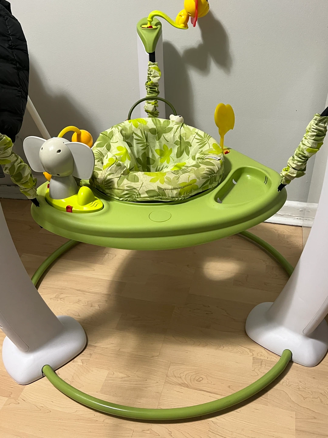 Baby Einstein Activity Jumper