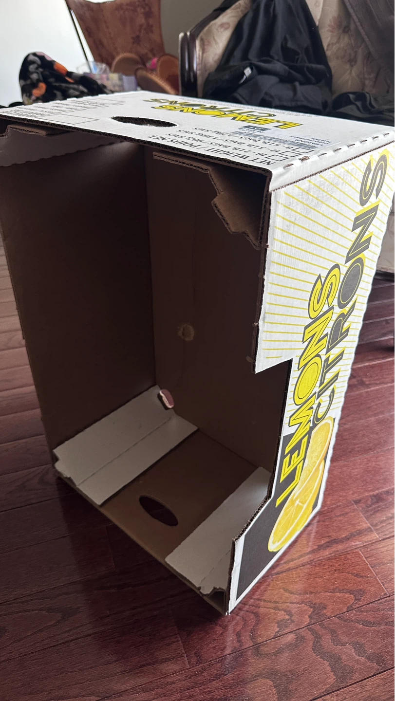 Lemons Citrons Cardboard Box