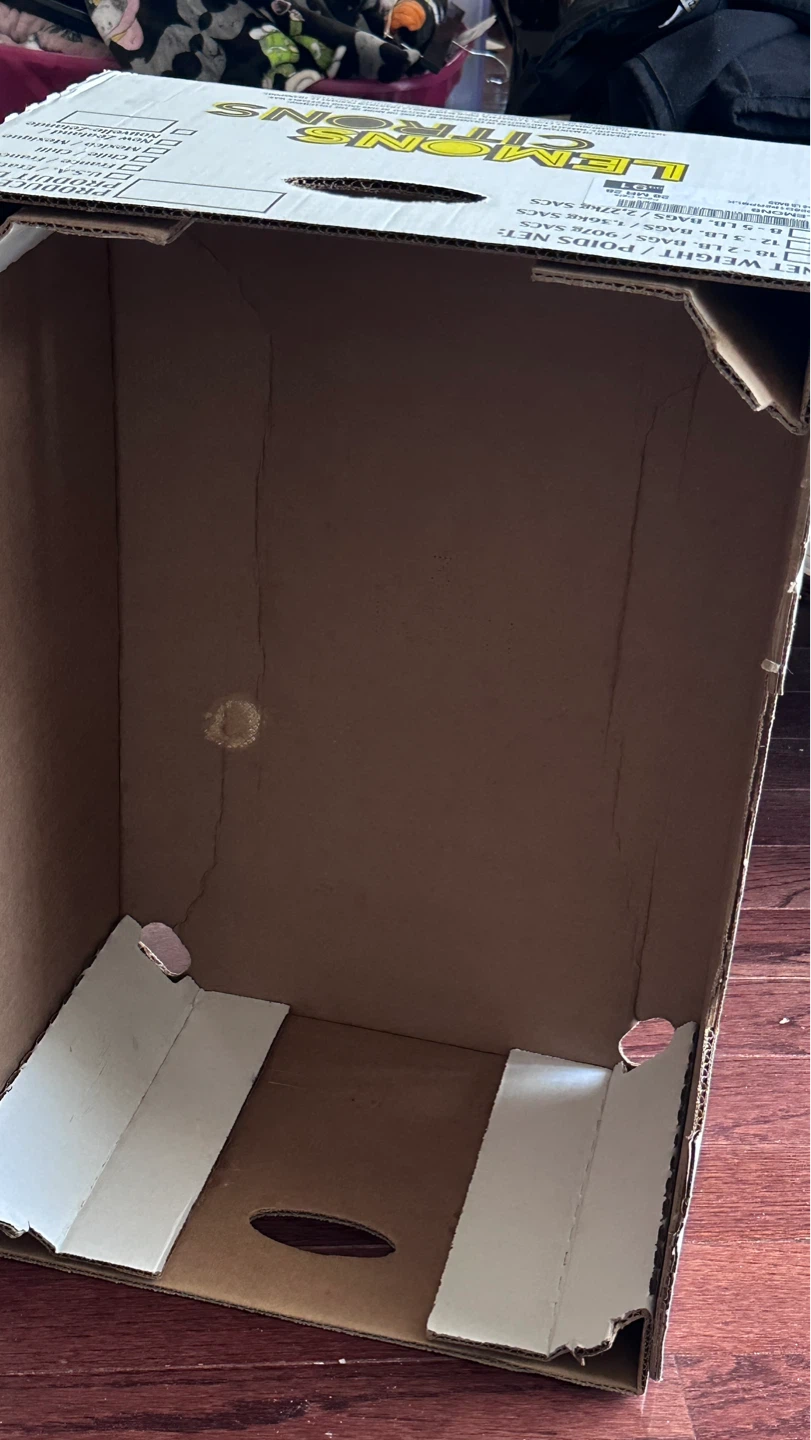 Lemons Citrons Cardboard Box - photo 2