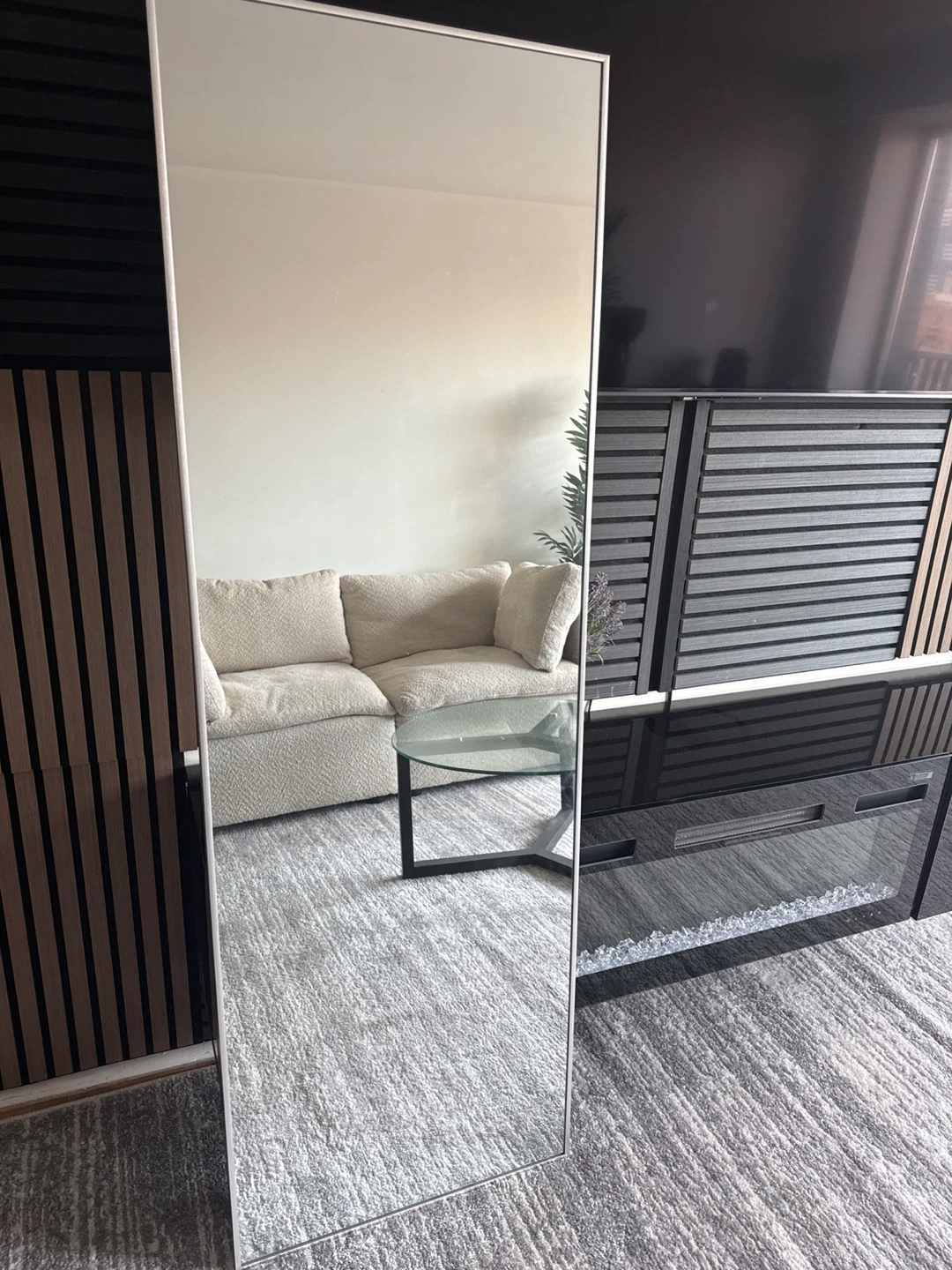 Full-length Mirror with Silver Frame 21.5 x 65 inches