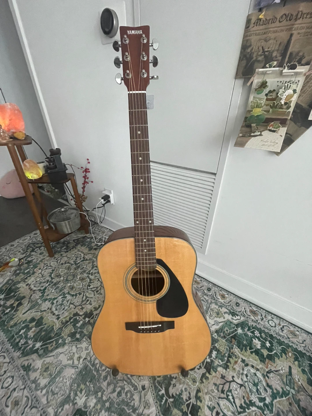 Guitar with cover, stand and accessories - photo 2