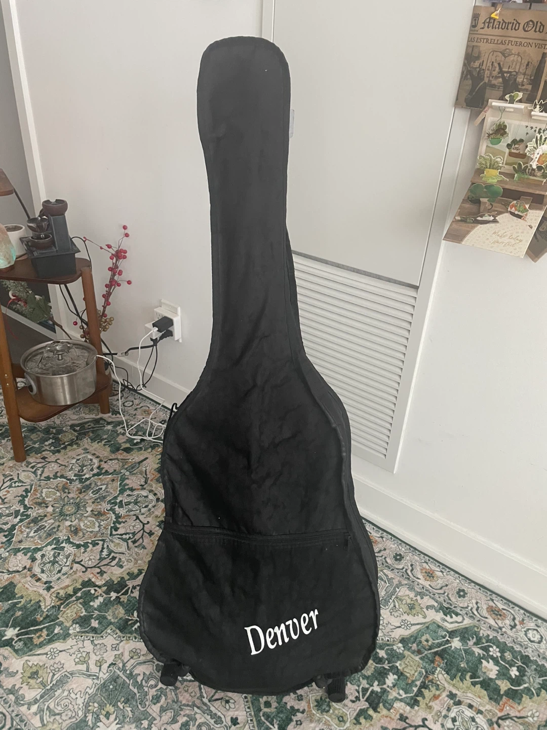 Guitar with cover, stand and accessories