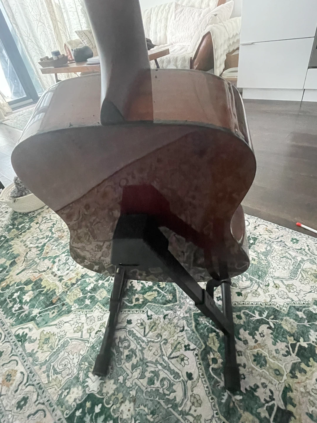Guitar with cover, stand and accessories - photo 3
